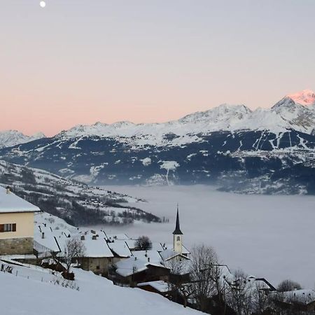 Studio Cosy Vallee De Tarentaise La Plagne Esterno foto